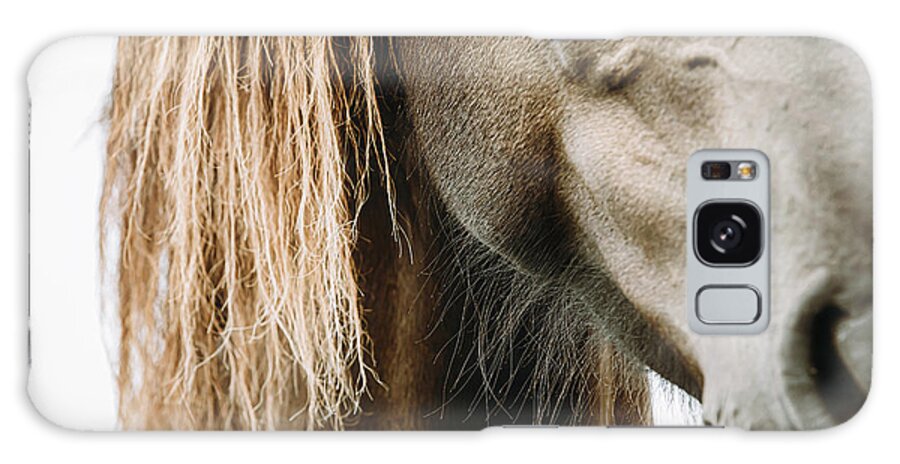 Horse Galaxy Case featuring the photograph Quest I - Horse Art by Lisa Saint