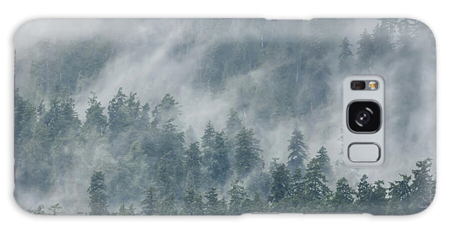 Forest Galaxy Case featuring the photograph Quinault Rain Forest by Steve Berkley