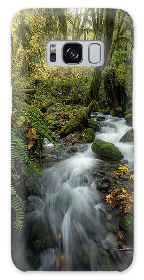 Waterfall Galaxy Case featuring the photograph Quinalt Waterfall by Steve Berkley