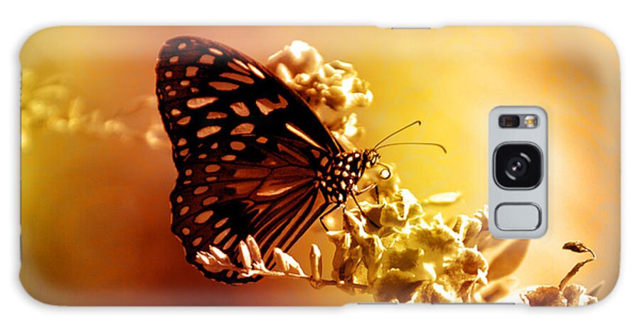 Butterfly Galaxy Case featuring the photograph Radiance by Holly Kempe