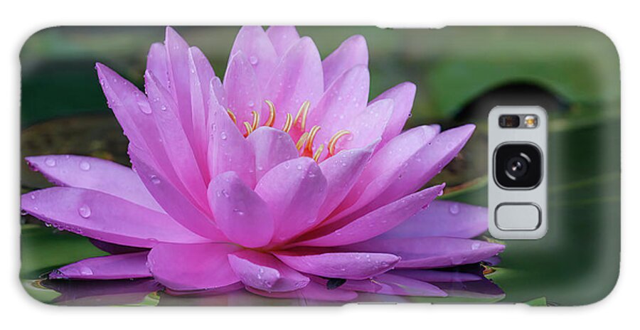 Water Lily Galaxy Case featuring the photograph Rain Kissed Lily by Gina Fitzhugh