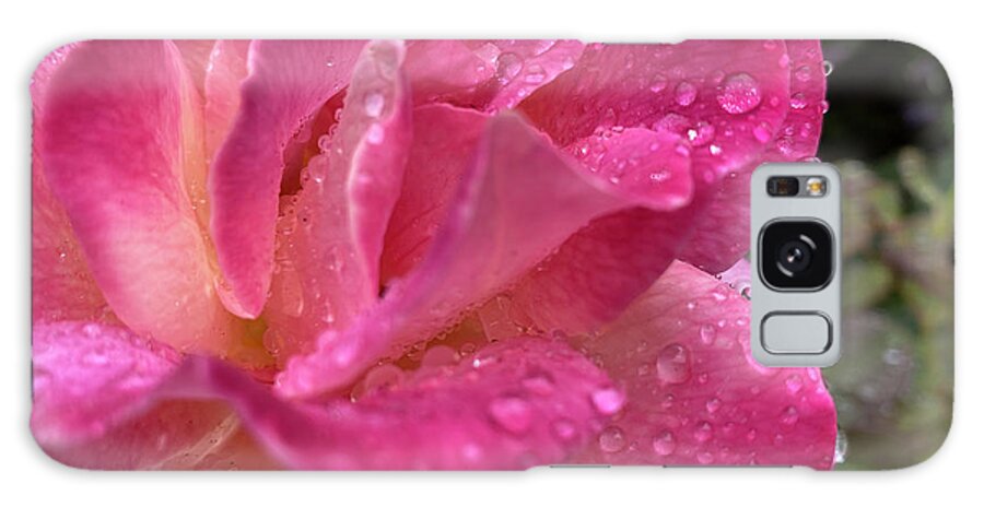 Rain Galaxy Case featuring the photograph Raindrops on Roses by Katherine Erickson
