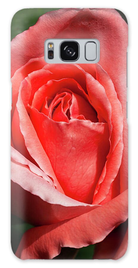 Home Garden Galaxy Case featuring the photograph Reaching Full Bloom by Ryan Huebel