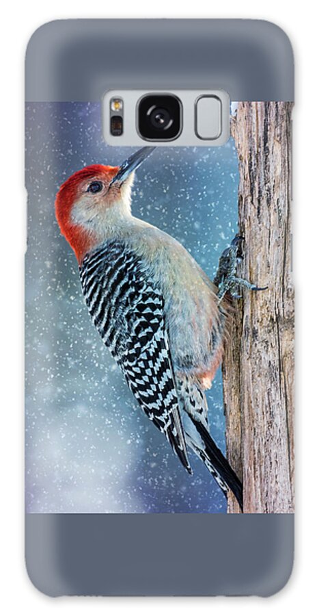 Tree Galaxy Case featuring the photograph Red-Belly Snowy Tree by Bill and Linda Tiepelman