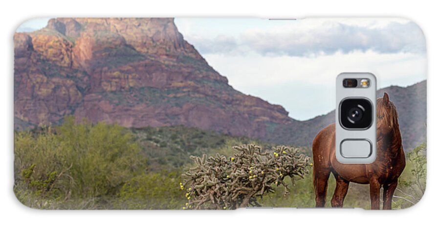 Wild Horses Galaxy Case featuring the photograph Red Horse, and Red Mountain by Mary Hone