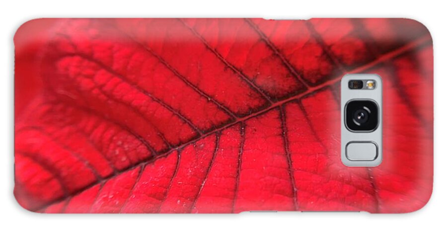 Poinsettia Galaxy Case featuring the photograph Red Leaf by Catherine Wilson