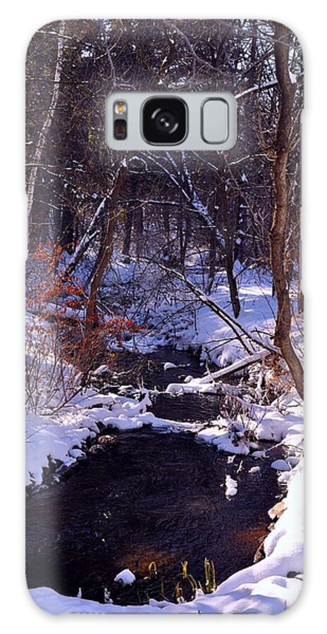 Landscape Galaxy Case featuring the photograph Red Leaves by Rick Hansen