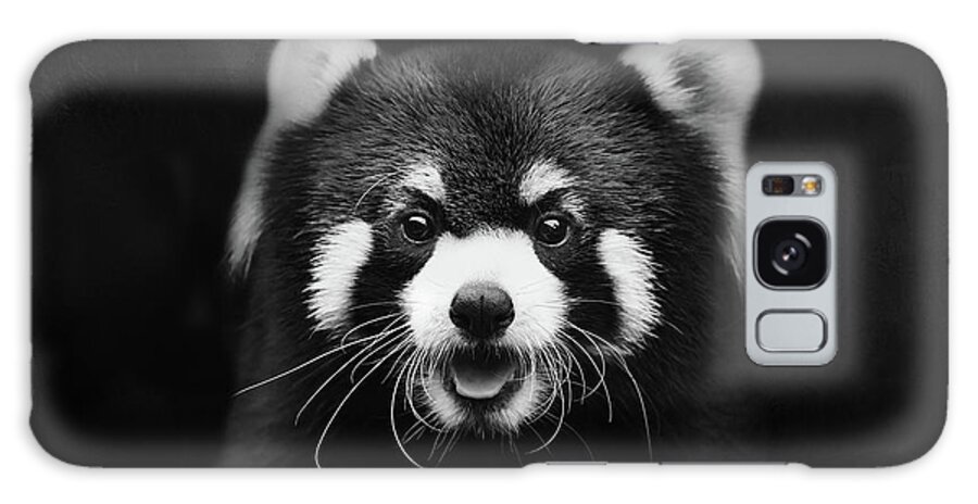 Red Panda Galaxy Case featuring the photograph Red Midnight Panda by Elisabeth Lucas