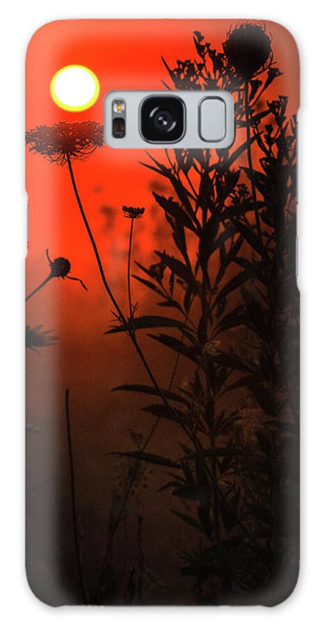 Red Morning Field Galaxy Case featuring the photograph Red Morning Field by Dan Sproul