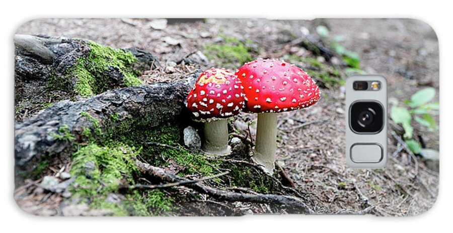 Mushrooms Galaxy Case featuring the photograph Red Mushrooms by Rich S