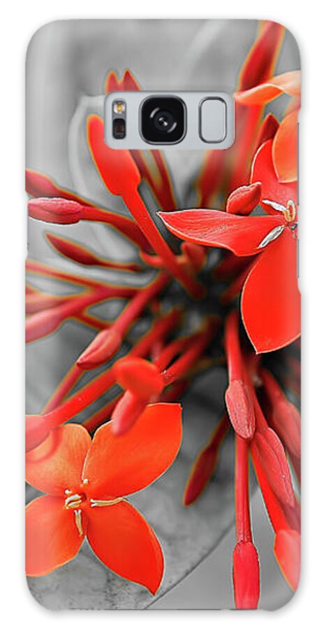 Asia Galaxy Case featuring the photograph Red scarlet ixora by Jean-Luc Farges