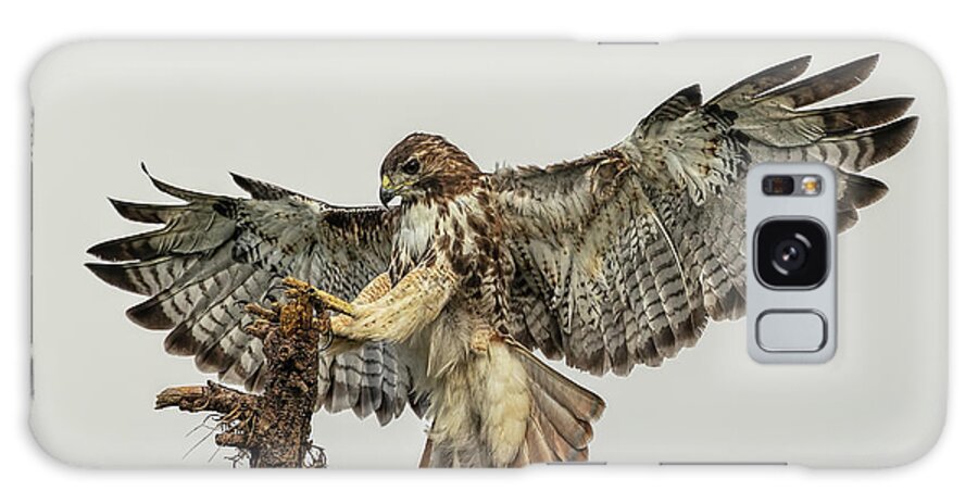 Rth Galaxy Case featuring the photograph Red-tailed hawk landing by Justin Battles
