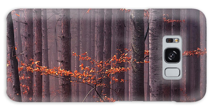 Mountain Galaxy Case featuring the photograph Red Wood by Evgeni Dinev