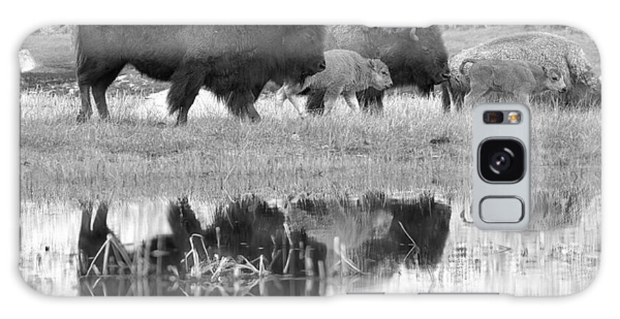 Yellowstone Galaxy Case featuring the photograph Reflections Of A Bison Family Outing Black And White by Adam Jewell