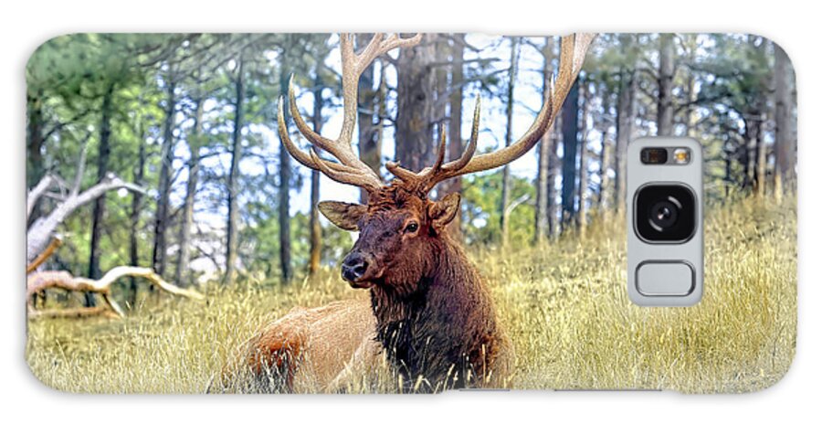Elk Galaxy Case featuring the photograph Resting Elk by Donna Kennedy