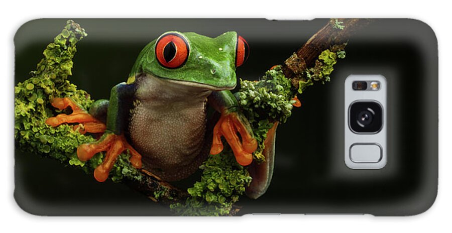 Frogs Galaxy Case featuring the photograph Retf-0303 by Miles Herbert