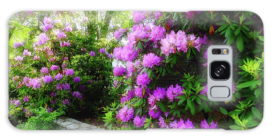 Rhododendron Galaxy Case featuring the photograph Rhododendron in Blowing Rock by Amy Dundon