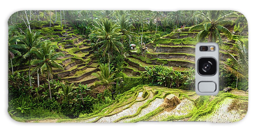 Bali Galaxy Case featuring the photograph Rice Terraces, Bali by Aashish Vaidya