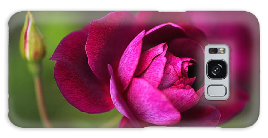 Rich Pink Galaxy Case featuring the photograph Rich Pink Rose by Joy Watson