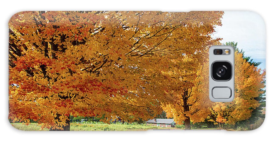 Landscape Galaxy S8 Case featuring the photograph Richmond 989 by Michael Fryd