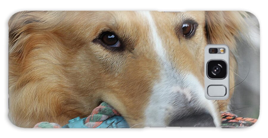 Dog Galaxy Case featuring the photograph Riley by Rick Redman
