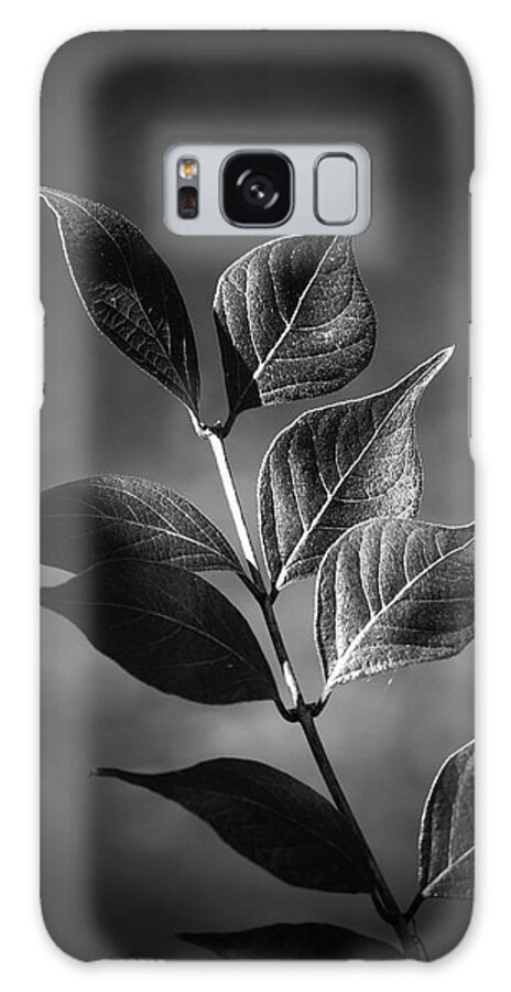 Plant Galaxy Case featuring the photograph River Plant Blades Black and White by Jason Fink