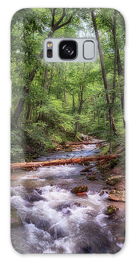 Roaring Run Galaxy Case featuring the photograph Roaring Run Creek - Eagle Rock Virginia by Susan Rissi Tregoning