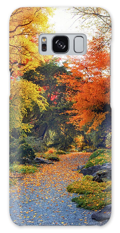 Autumn Galaxy Case featuring the photograph Rock Garden Path by Jessica Jenney