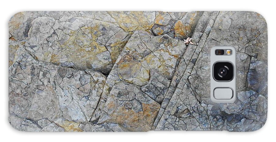 Partridge Island Galaxy Case featuring the photograph Rockface by Alan Norsworthy