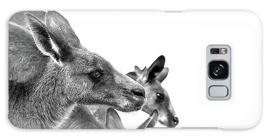 Australian Bush Kangaroo Galaxy Case featuring the photograph Roo Runners by Az Jackson
