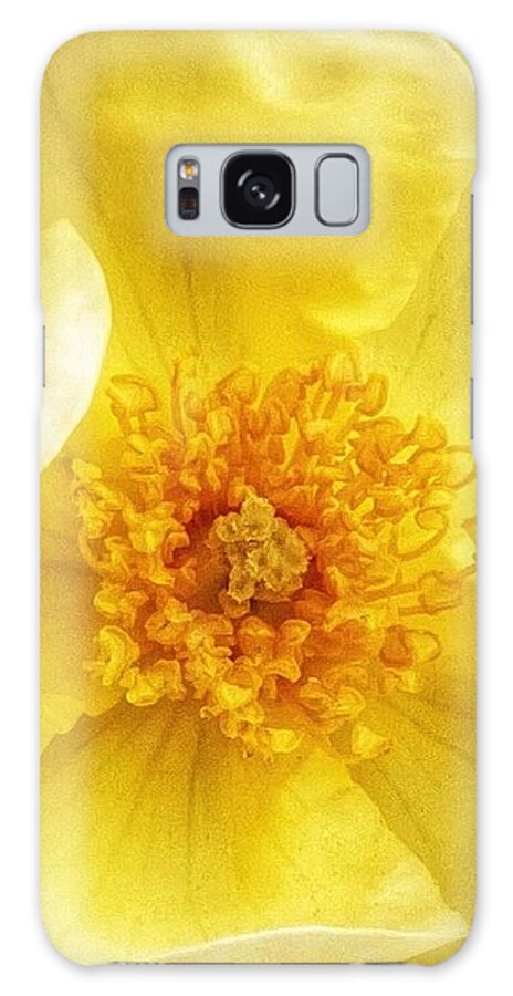 Yellow Galaxy Case featuring the photograph Rosa Sun Flare by Wendy Golden