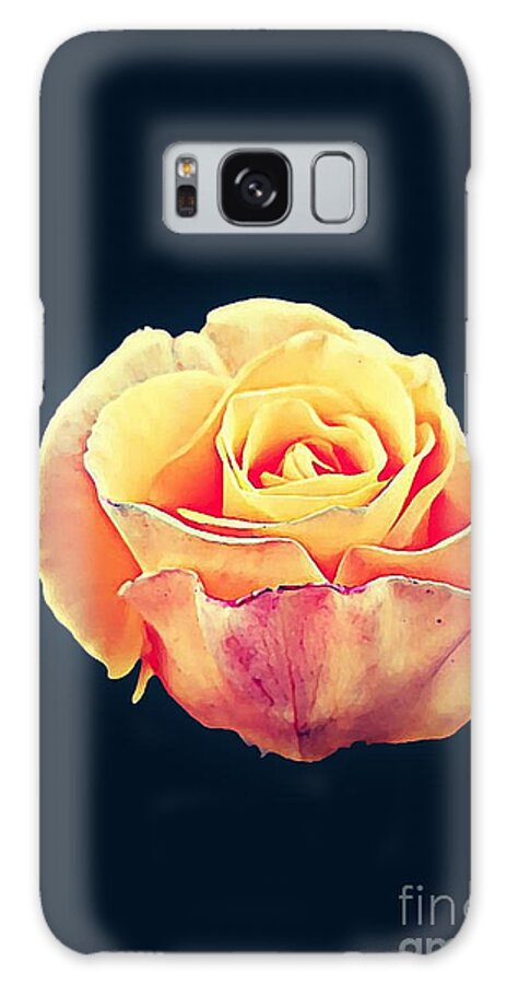 A Single Rose Galaxy Case featuring the photograph Rose Love by Tracey Lee Cassin