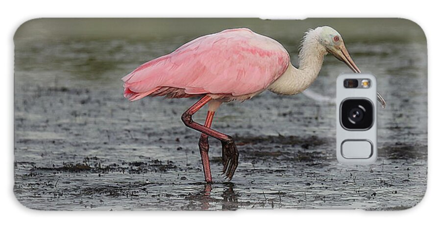 Roseate Spoonbill Galaxy S8 Case featuring the photograph Roseate Spoonbill 13 by Mingming Jiang