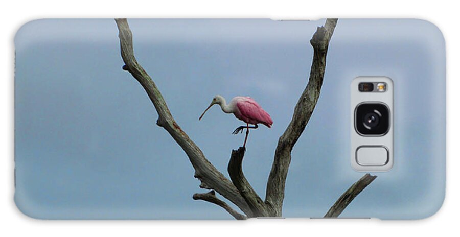 Roseate Spoonbill Galaxy S8 Case featuring the photograph Roseate Spoonbill by David McKinney