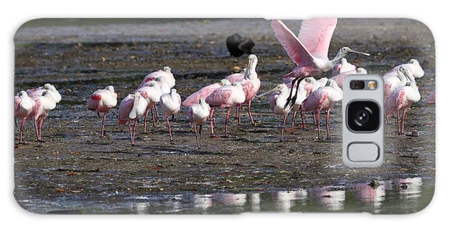 Roseate Spoonbill Galaxy S8 Case featuring the photograph Roseate Spoonbills Gather Together by Mingming Jiang