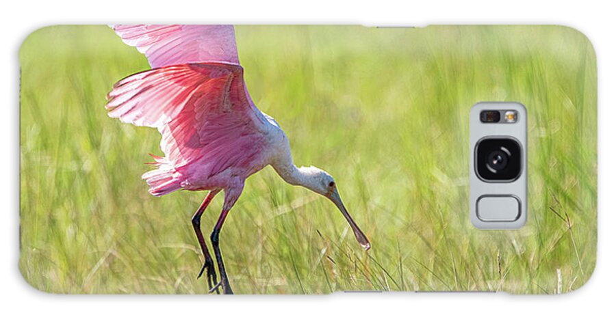 Roseate Spoonbill Galaxy Case featuring the photograph Roseate Spoonbill by Linda Shannon Morgan