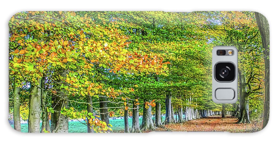 Row Galaxy Case featuring the photograph Row of English beech trees in autumn by Richard Jemmett