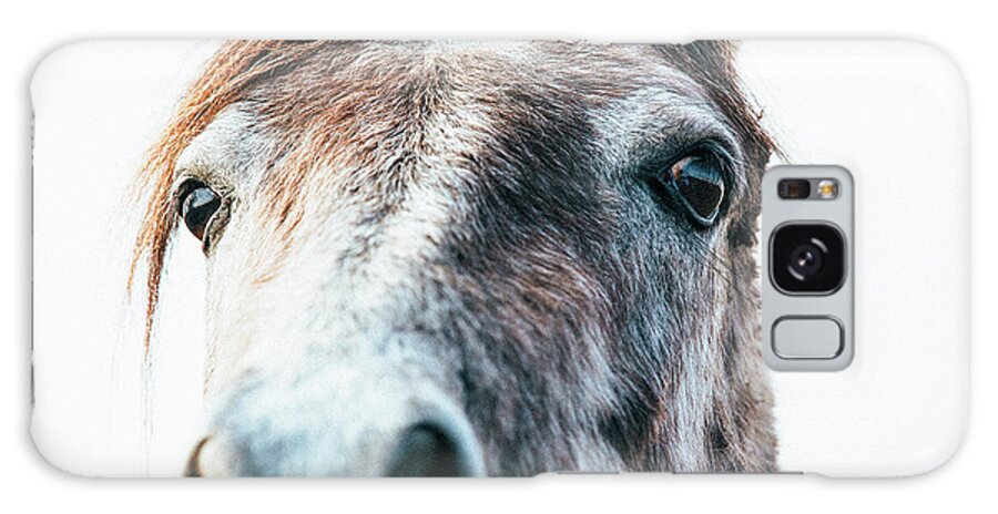Horse Galaxy Case featuring the photograph Ruairi - Horse Art by Lisa Saint