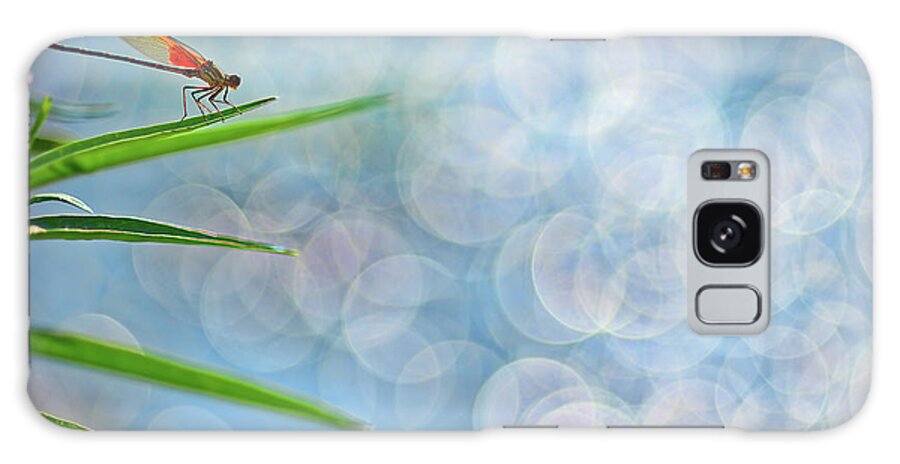 Bokeh Galaxy Case featuring the photograph Rubyspot by Robert Charity