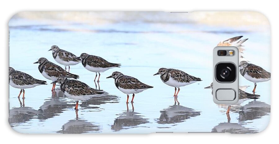 Ruddy Turnstones Galaxy Case featuring the photograph Ruddy Turnstones by Mingming Jiang