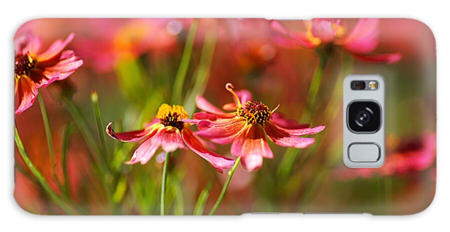 Tickseed Galaxy Case featuring the photograph Rum Punch Plant Coreopsis Warmth by Joy Watson