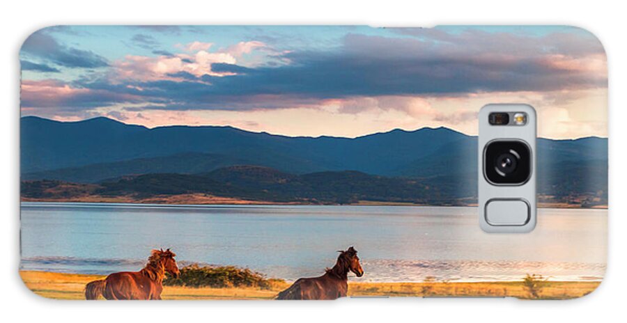 Animal Galaxy Case featuring the photograph Running Horses by Evgeni Dinev