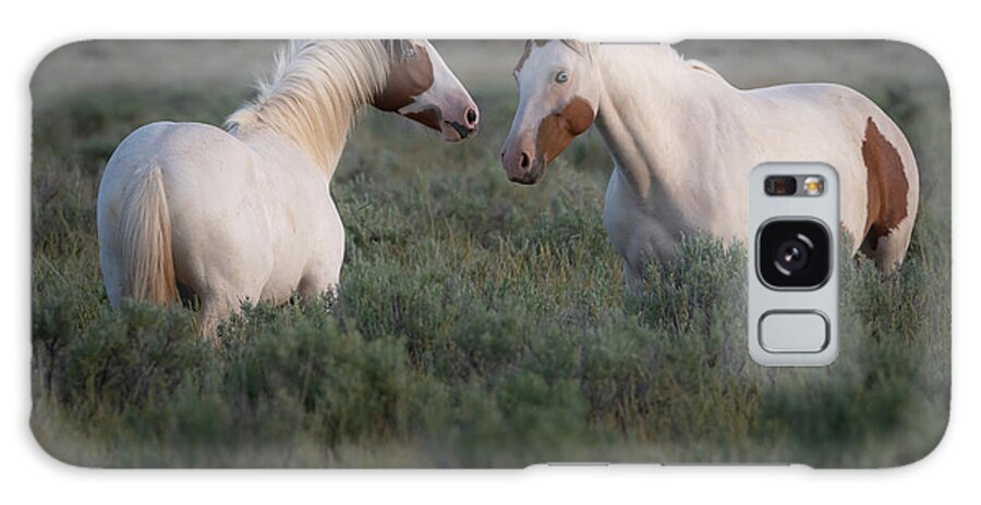 Wild Horses Galaxy Case featuring the photograph Sagebrush Angels by Mary Hone