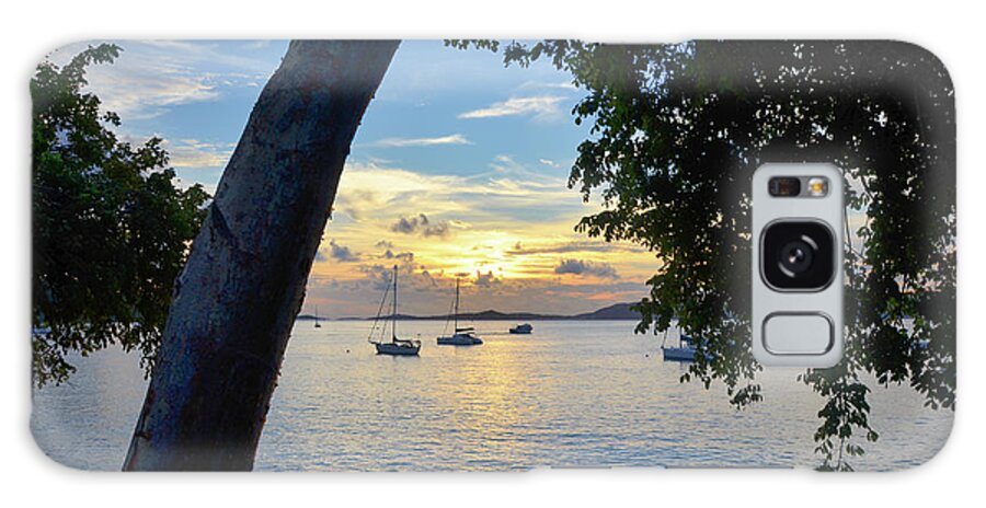 Beach Galaxy Case featuring the photograph Sailboats at Sunset from Behind the Trees by Matthew DeGrushe