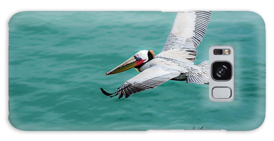 Pelicans Galaxy Case featuring the photograph Sailing Pelican by Windy Osborn