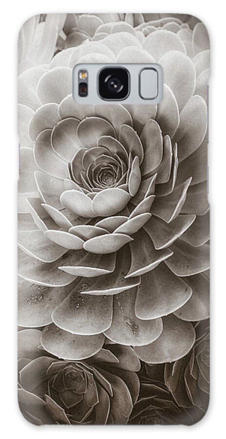 Soft Galaxy Case featuring the photograph Santa Barbara Succulent#20 by Jennifer Wright