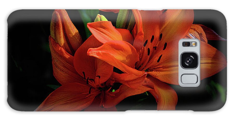 Plants Galaxy Case featuring the photograph Say yes to Orange by Buddy Scott