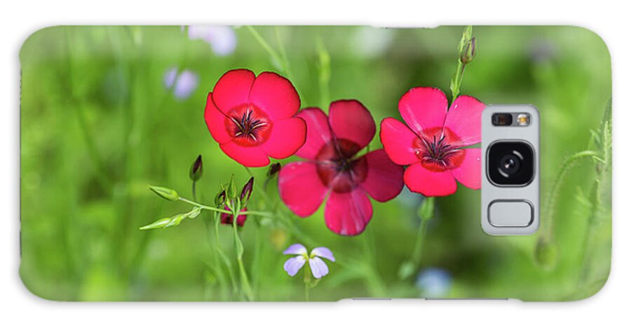 Linum Grandiflorum Galaxy Case featuring the photograph Scarlet Flax by Eva Lechner