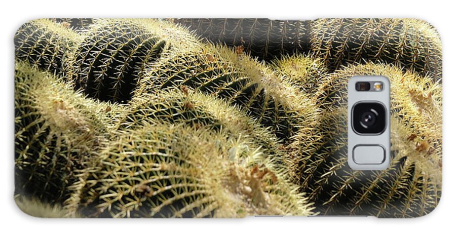 Cactus Galaxy Case featuring the photograph Sea of Thorns by Jessica Myscofski