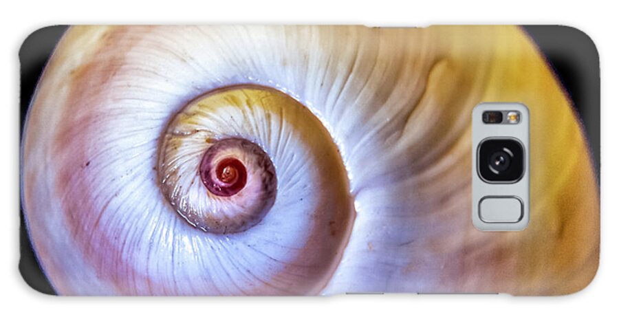 Seashell Galaxy Case featuring the photograph Sea Shell by WAZgriffin Digital